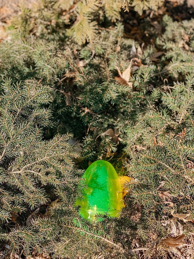 Green grownup easter egg filled with champagne split hidden in a tree
