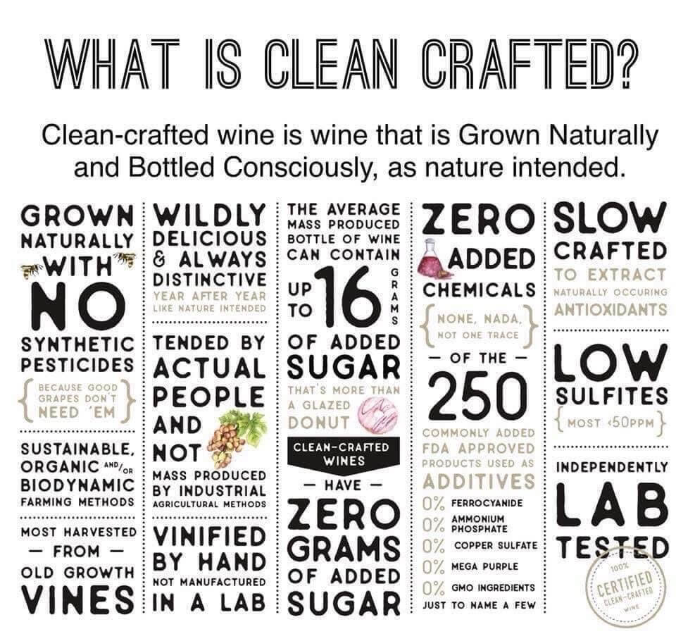 Scout & Cellar Clean Crafted wine